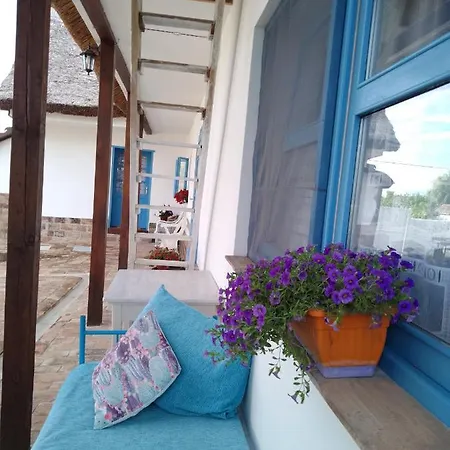 דירה Matejev Susara