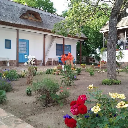 Matejev Apartament Susara