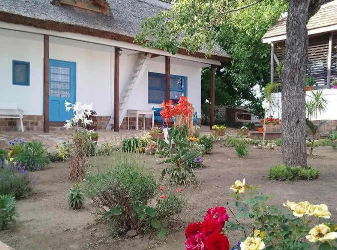 Matejev شقة Susara